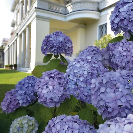 Grand Majestic Hotel